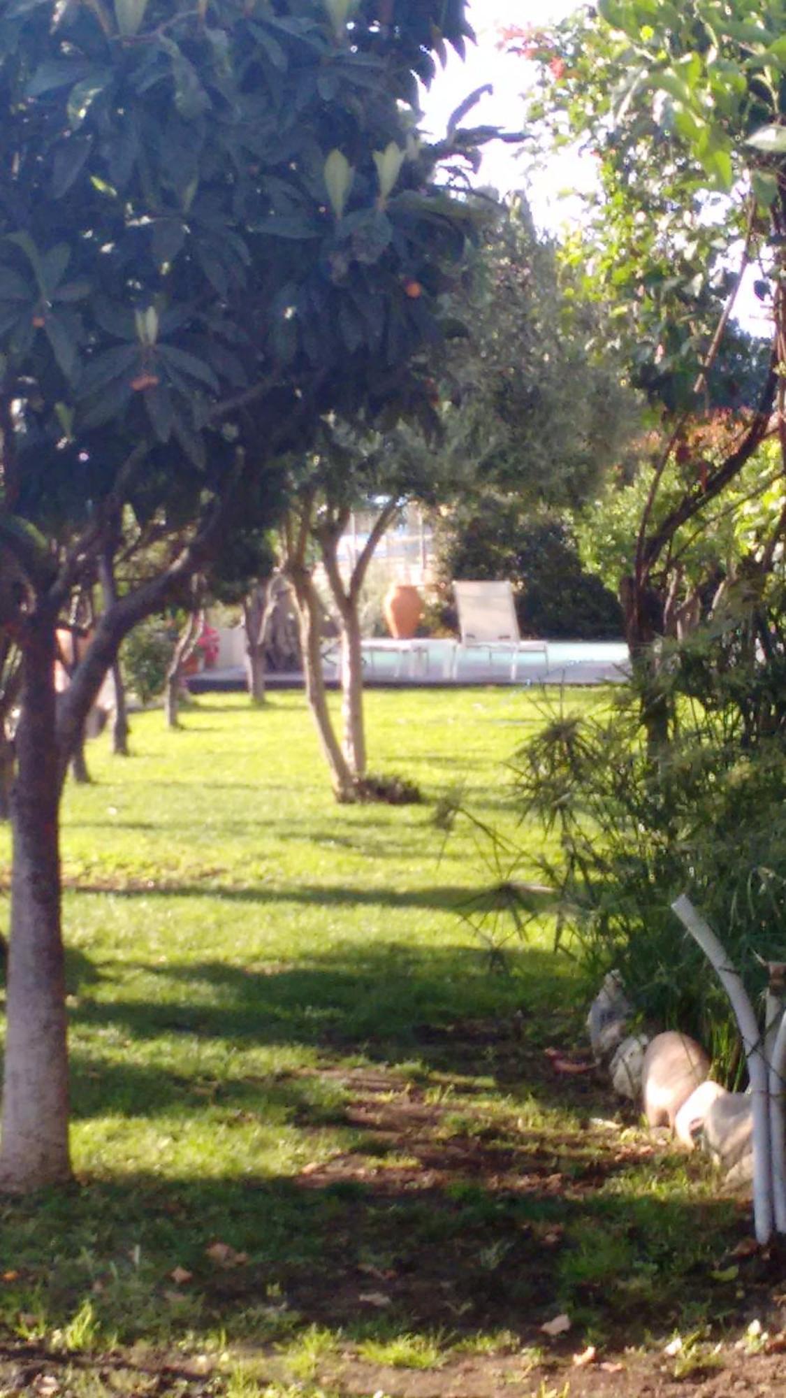 Avocado B&B Beyond Giardini Naxos Exterior photo